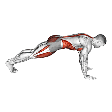 Mountain Climber exercise animated demonstration