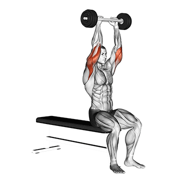 Olympic Barbell Triceps Extension exercise animated demonstration
