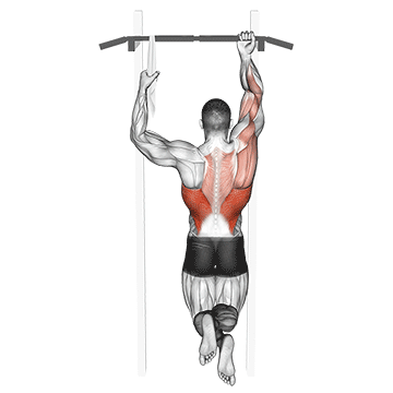 One Arm Chin-up exercise animated demonstration