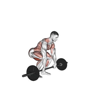 Power Clean exercise animated demonstration