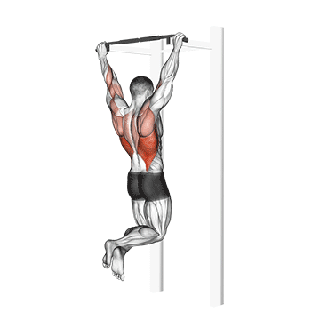 Pull-up exercise animated demonstration