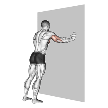 Push-up (wall) V. 2