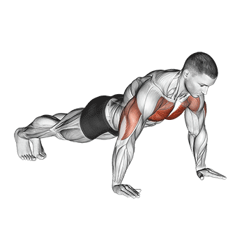 Push-up exercise animated demonstration