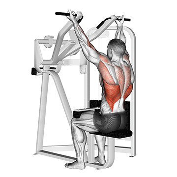 Reverse Grip Machine Lat Pulldown exercise animated demonstration