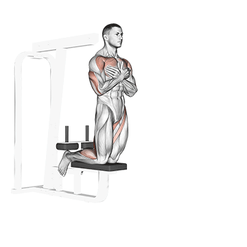 Self Assisted Inverse Leg Curl exercise animated demonstration
