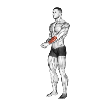 Side Wrist Pull Stretch exercise animated demonstration
