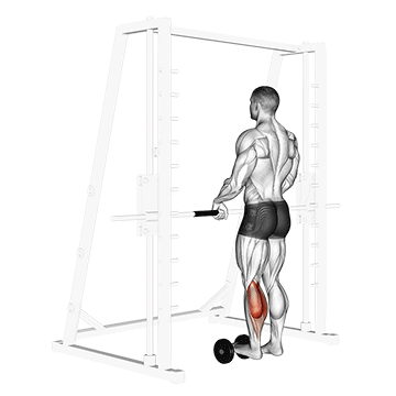 Single Leg Calf Raise (on A Dumbbell) exercise animated demonstration