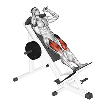 Sled Hack Squat