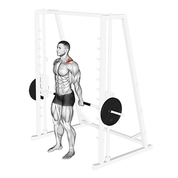 Smith Back Shrug exercise animated demonstration