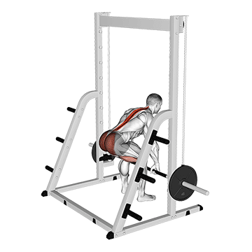 Smith Deadlift exercise animated demonstration