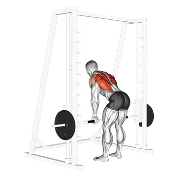 Smith Narrow Row exercise animated demonstration