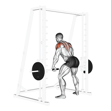 Smith Rear Delt Row exercise animated demonstration