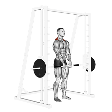 Smith Shrug exercise animated demonstration