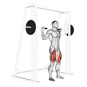 Smith Squat exercise animated demonstration
