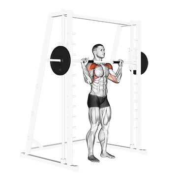 Smith Standing Military Press exercise animated demonstration
