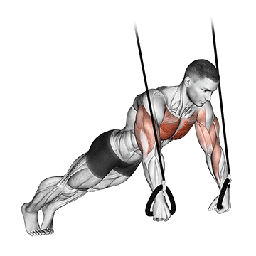 Suspended Push-up exercise animated demonstration