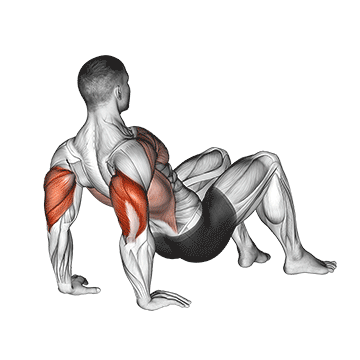 Triceps Dips Floor exercise animated demonstration
