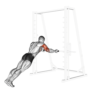 Triceps Press exercise animated demonstration