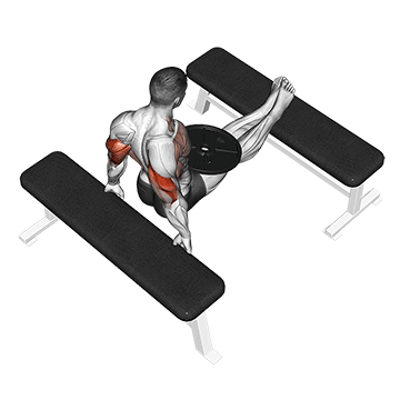 Weighted Bench Dip exercise animated demonstration