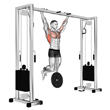 Weighted Pull-up exercise animated demonstration