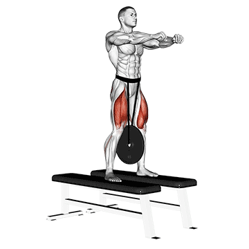 Weighted Squat exercise animated demonstration