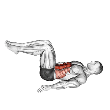 Reverse Crunch exercise animated demonstration