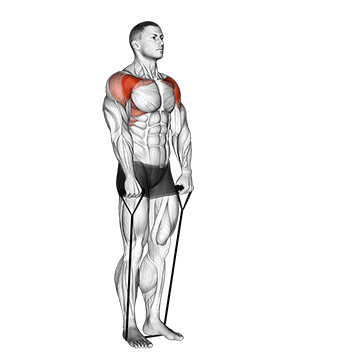 Band Front Raise exercise animated demonstration
