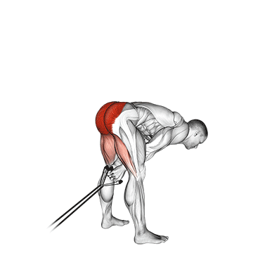 Band Pull Through exercise animated demonstration