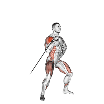 Band Twisting Overhead Press exercise animated demonstration