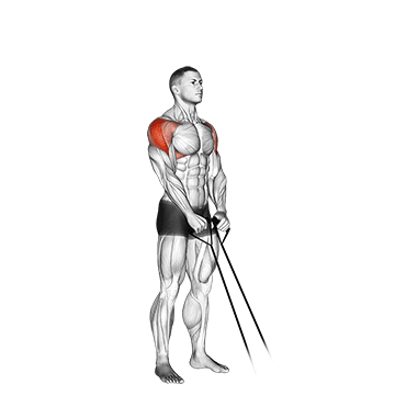 Band Y-raise exercise animated demonstration