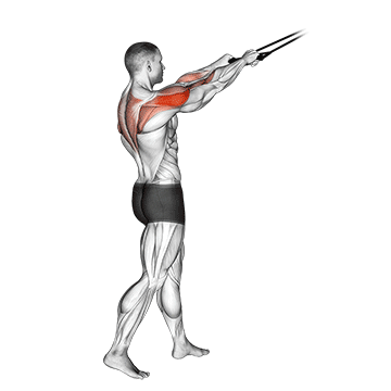 Band Standing Rear Delt Row exercise animated demonstration
