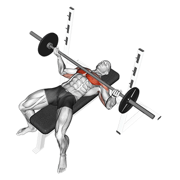 Barbell Wide Reverse Grip Bench Press exercise animated demonstration