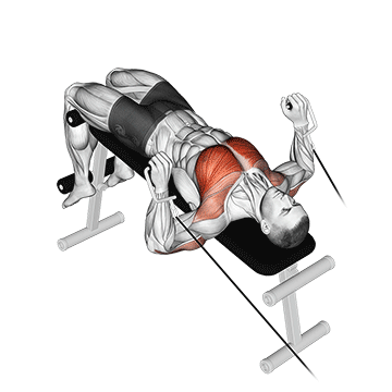 Cable Decline Press exercise animated demonstration