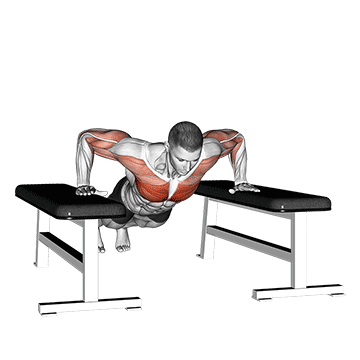 Drop Push Up exercise animated demonstration