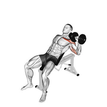 Dumbbell Incline One Arm Press exercise animated demonstration
