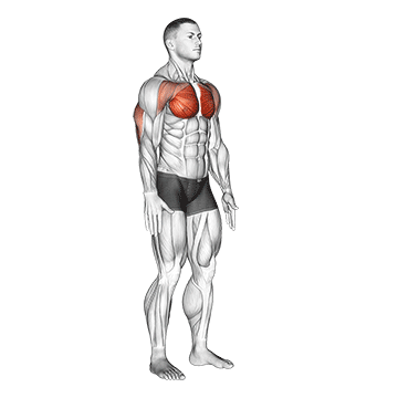 Isometric Chest Squeeze exercise animated demonstration
