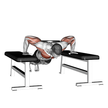 Weighted Drop Push Up exercise animated demonstration