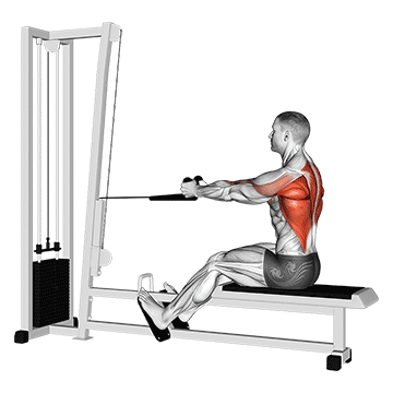 Cable Rope Seated Row exercise animated demonstration