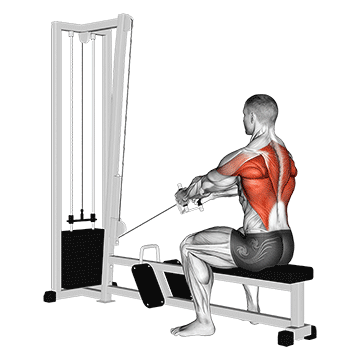 Cable Upper Row exercise animated demonstration