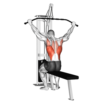 Cable Wide Grip Rear Pulldown Behind Neck exercise animated demonstration