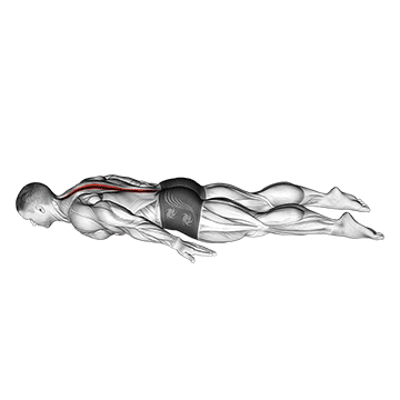 Lower Back Curl exercise animated demonstration