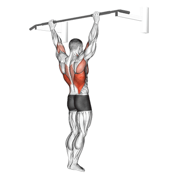 Wide Grip Rear Pull-up