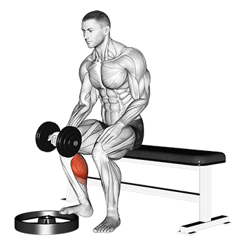 Dumbbell Seated One Leg Calf Raise - Palm Up exercise animated demonstration