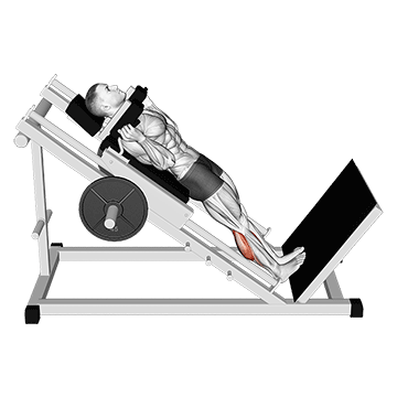 Hack Calf Raise exercise animated demonstration