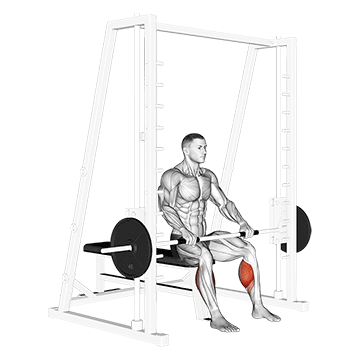 Smith Toe Raise exercise animated demonstration