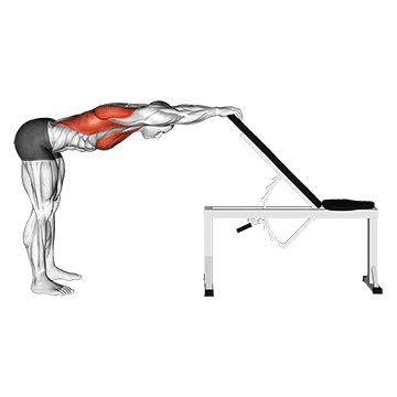 Back Pec Stretch exercise animated demonstration