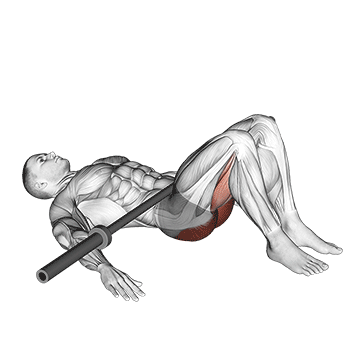 Barbell Glute Bridge exercise animated demonstration