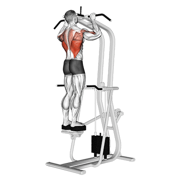 Assisted Standing Pull-up exercise animated demonstration