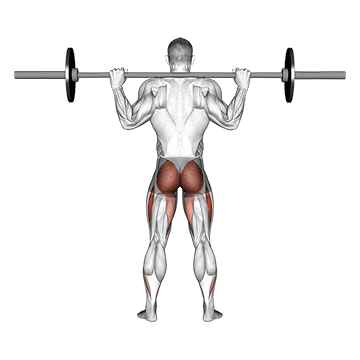 Barbell Full Squat (back Pov)