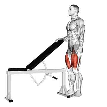 Sissy Squat exercise animated demonstration